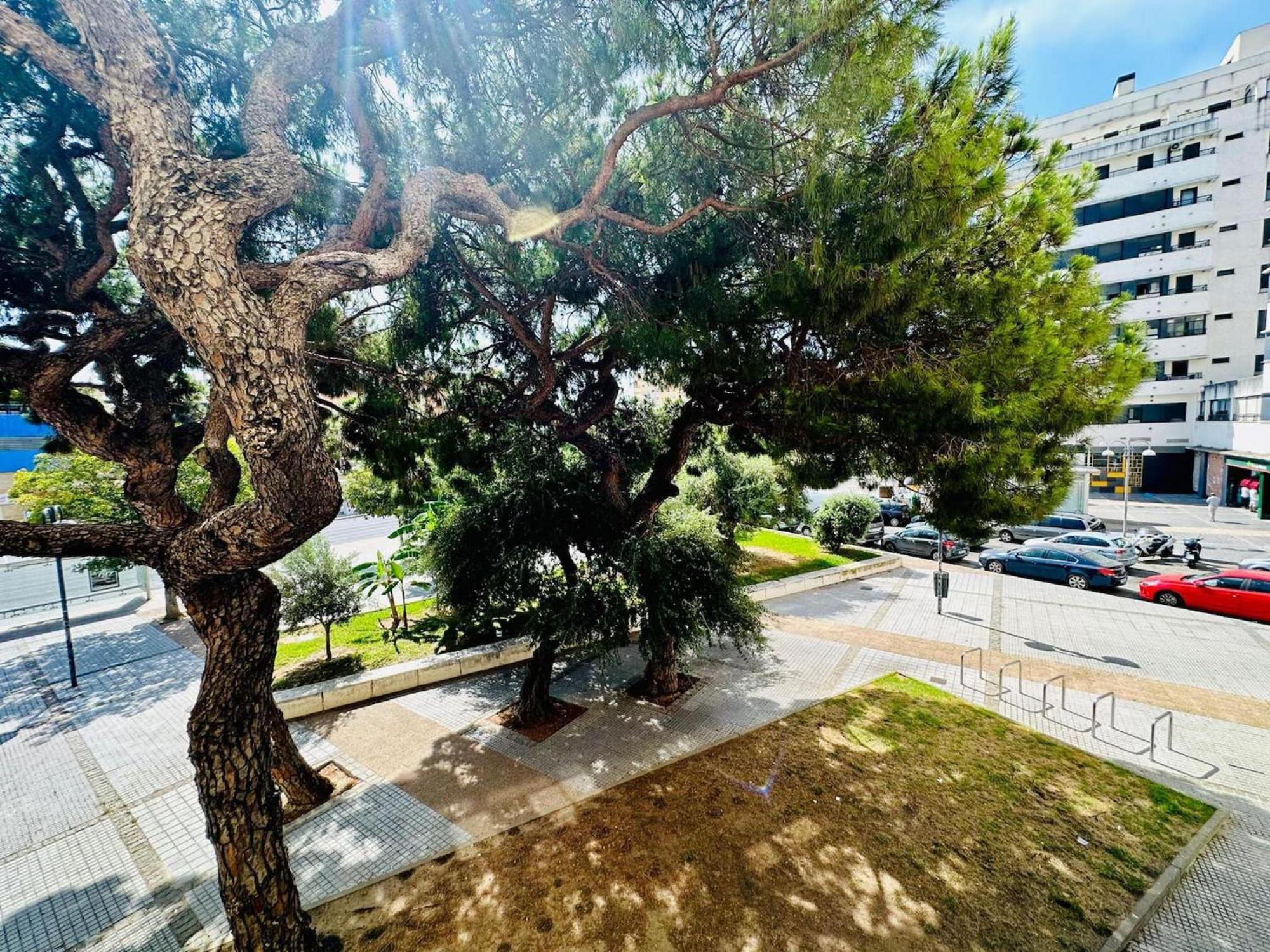 דירות קדיז Avenida Portugal Con Ascensor Grupo Ac Gestion מראה חיצוני תמונה
